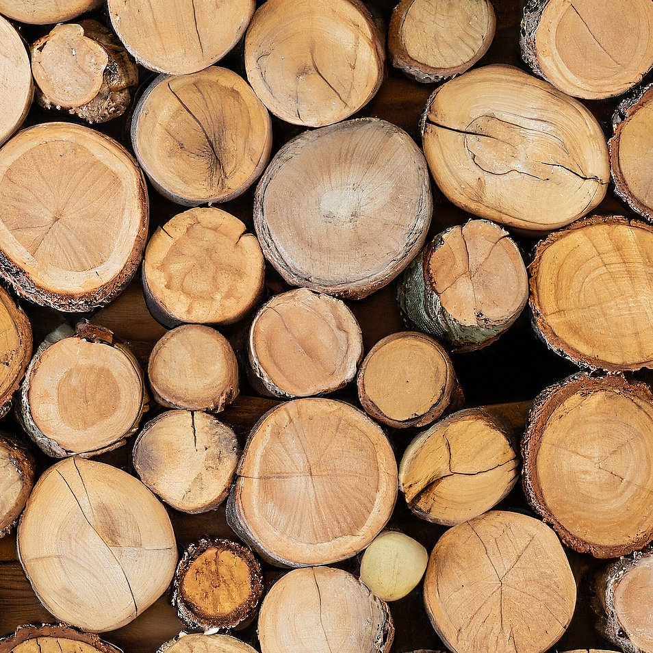 10 gute Gründe für das Heizen mit Holz in modernen Feuerstätten